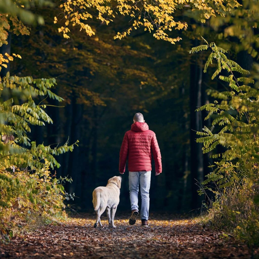 Woodland walk on the park, maintained from site fees at Epworth Fields
